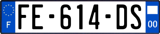 FE-614-DS
