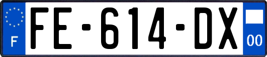 FE-614-DX