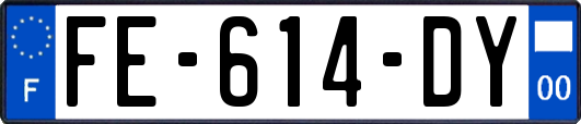 FE-614-DY