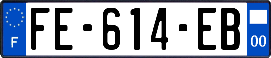FE-614-EB