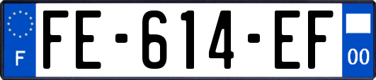 FE-614-EF
