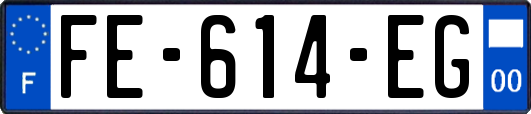 FE-614-EG