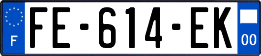 FE-614-EK
