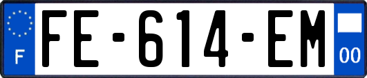 FE-614-EM