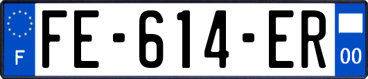 FE-614-ER