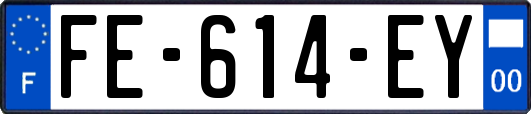 FE-614-EY
