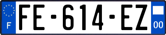 FE-614-EZ