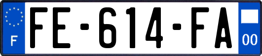 FE-614-FA