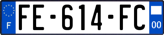 FE-614-FC