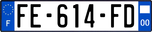 FE-614-FD