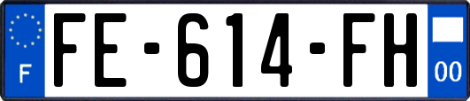 FE-614-FH