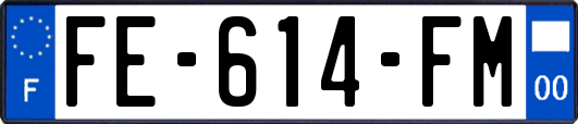 FE-614-FM