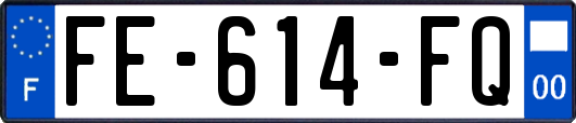 FE-614-FQ