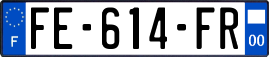 FE-614-FR