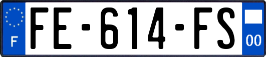 FE-614-FS