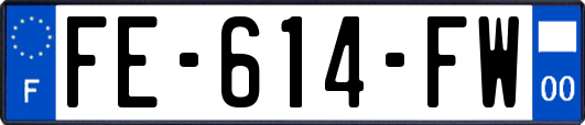 FE-614-FW