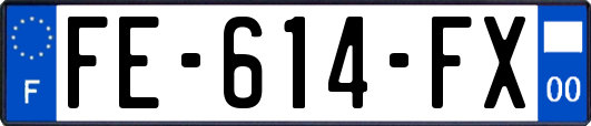 FE-614-FX