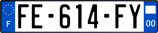 FE-614-FY