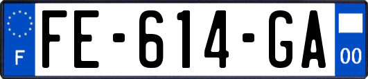 FE-614-GA