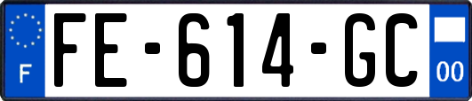 FE-614-GC