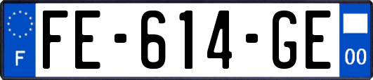 FE-614-GE
