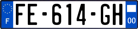 FE-614-GH