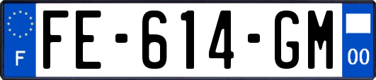 FE-614-GM