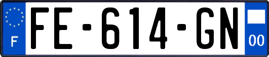 FE-614-GN