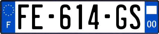 FE-614-GS