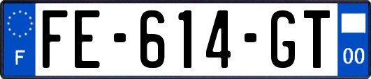 FE-614-GT