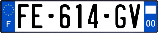 FE-614-GV