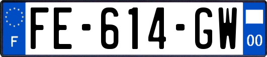 FE-614-GW