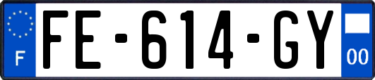 FE-614-GY