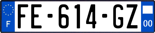 FE-614-GZ