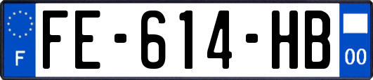 FE-614-HB