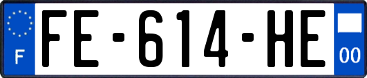 FE-614-HE
