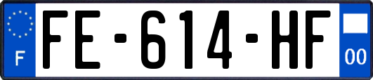 FE-614-HF