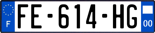 FE-614-HG