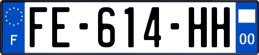 FE-614-HH