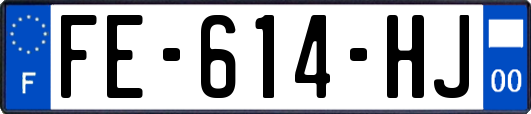 FE-614-HJ