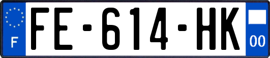 FE-614-HK