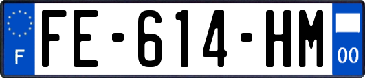 FE-614-HM