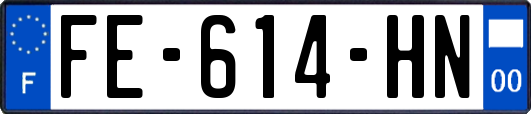 FE-614-HN