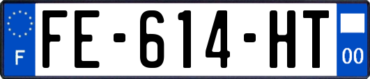 FE-614-HT