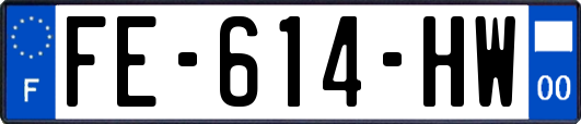 FE-614-HW