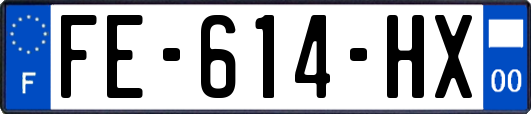 FE-614-HX