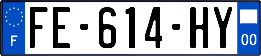 FE-614-HY