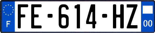 FE-614-HZ