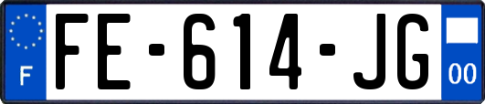 FE-614-JG