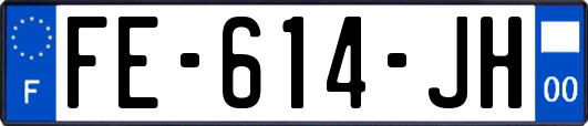 FE-614-JH